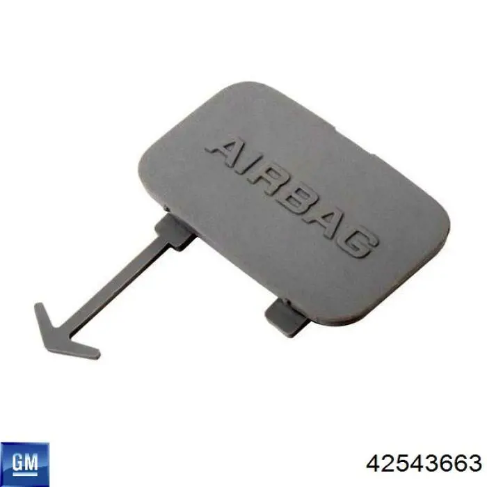 42543663 General Motors 