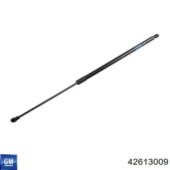 95073874 General Motors 