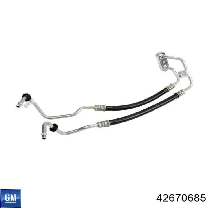 42670685 General Motors 