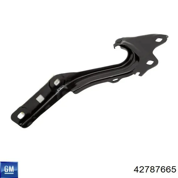 42787665 General Motors 