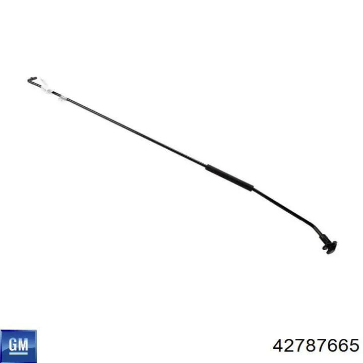 Купити 42787665 General Motors 