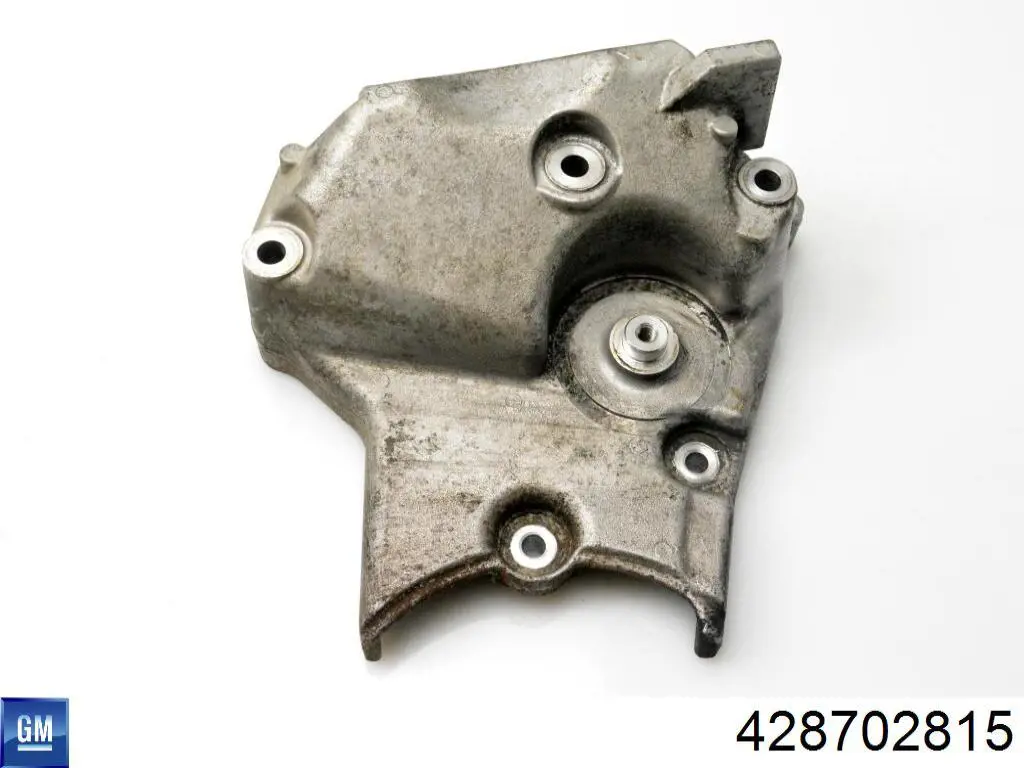 428702815 General Motors 
