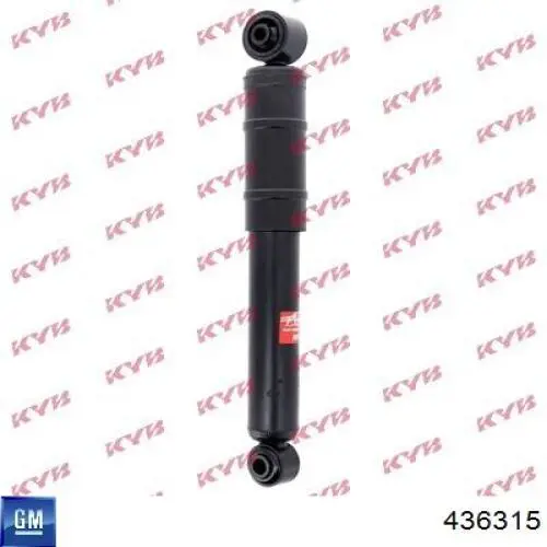 Амортизатор задній General Motors 436315 ціна, від 28.81 USD