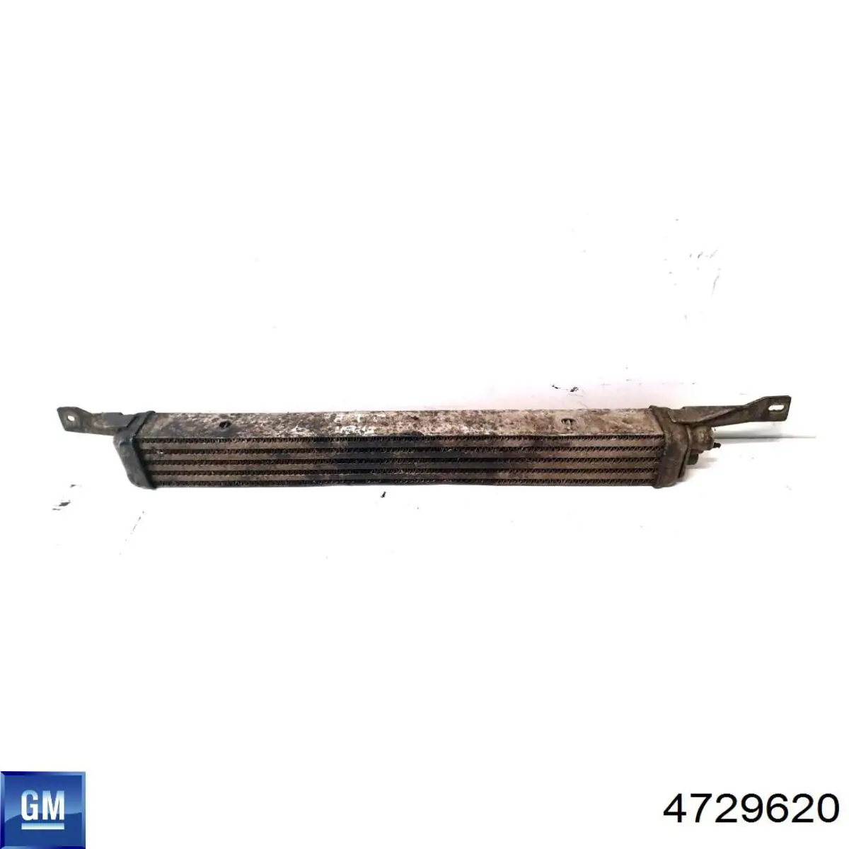 Купити 4729620 General Motors Радіатор масляний