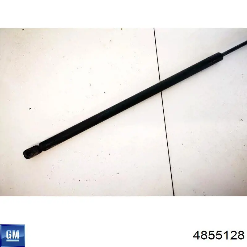 Амортизатор капота газовий General Motors 4855128 ціна, від 12.57 USD