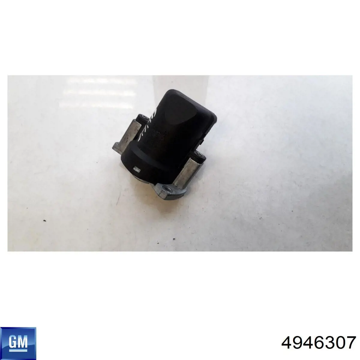 General Motors 4946307 ціна, від 25.06 USD