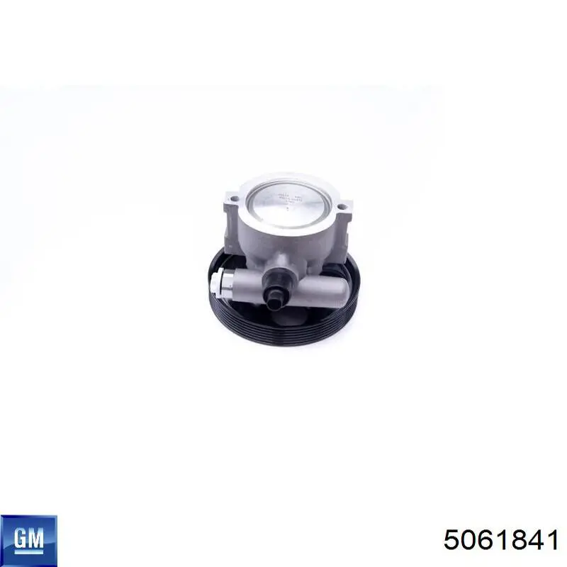 Насос ГУР 5061841 General Motors
