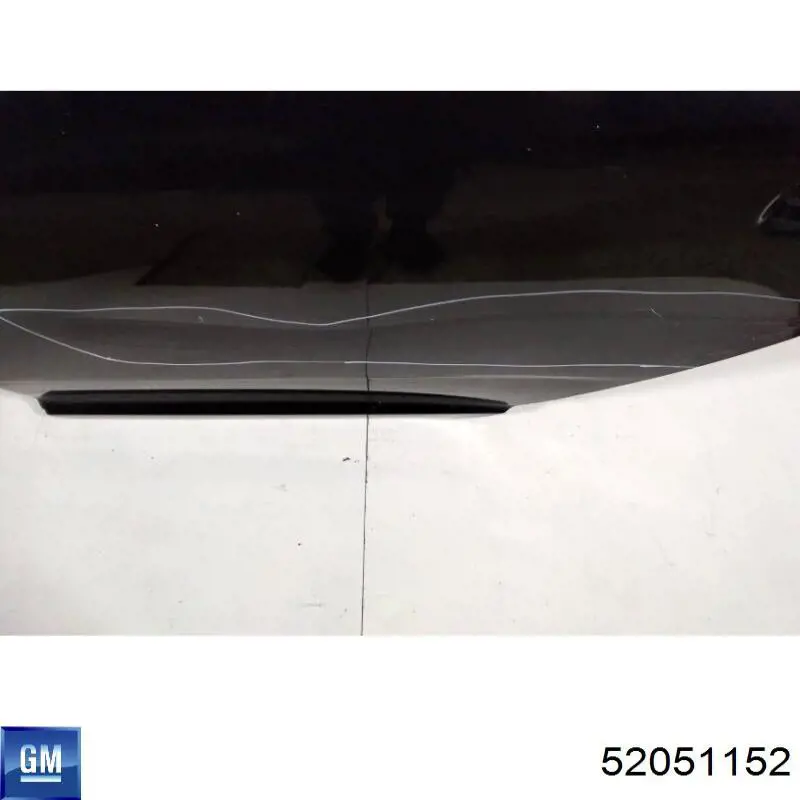 Купити 52051152 General Motors 