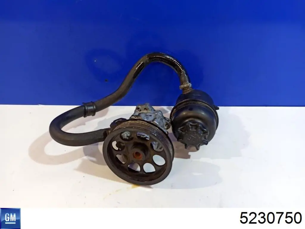 Насос ГУР S5065003 Polcar