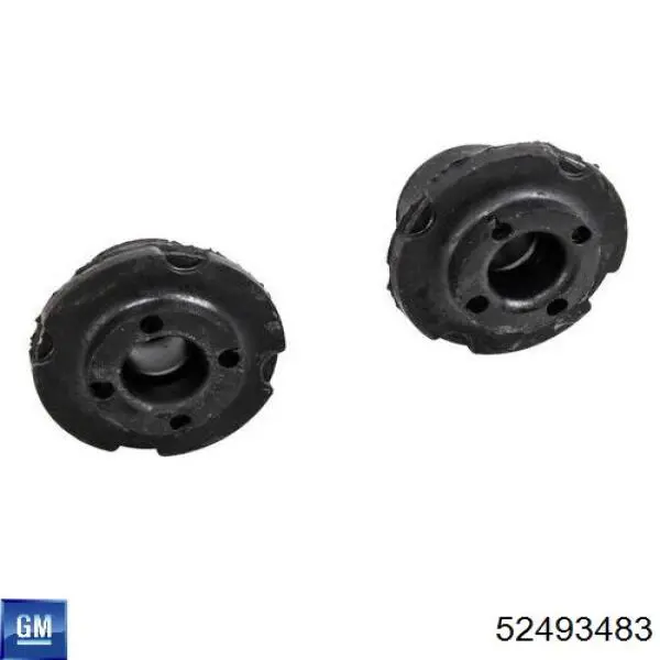 Купити 52493483 General Motors 