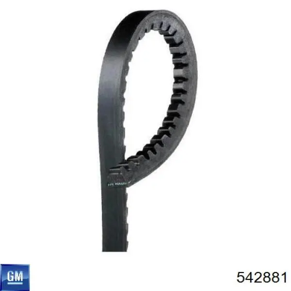 Направляюча супорту переднього General Motors 542881 ціна, від 3.94 USD