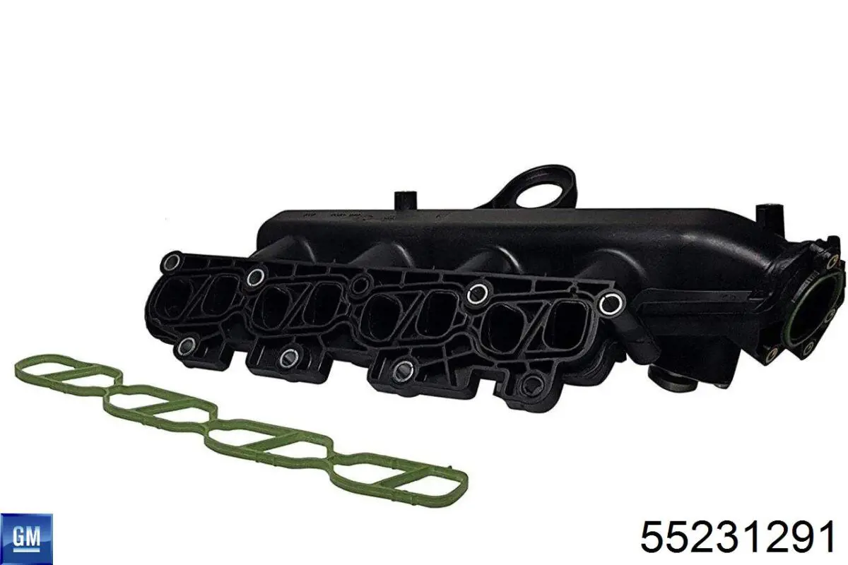 Колектор впускний General Motors 55231291 ціна, від 56.38 USD