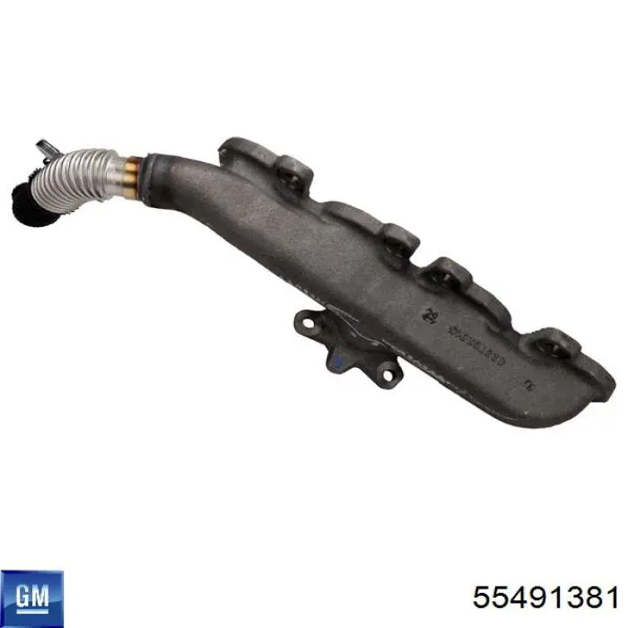 55491381 Opel Система випуску газів двигуна