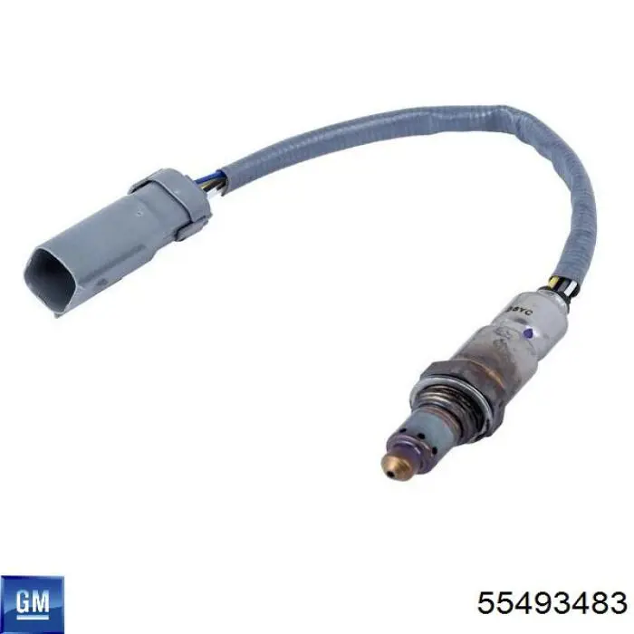 55493483 General Motors 