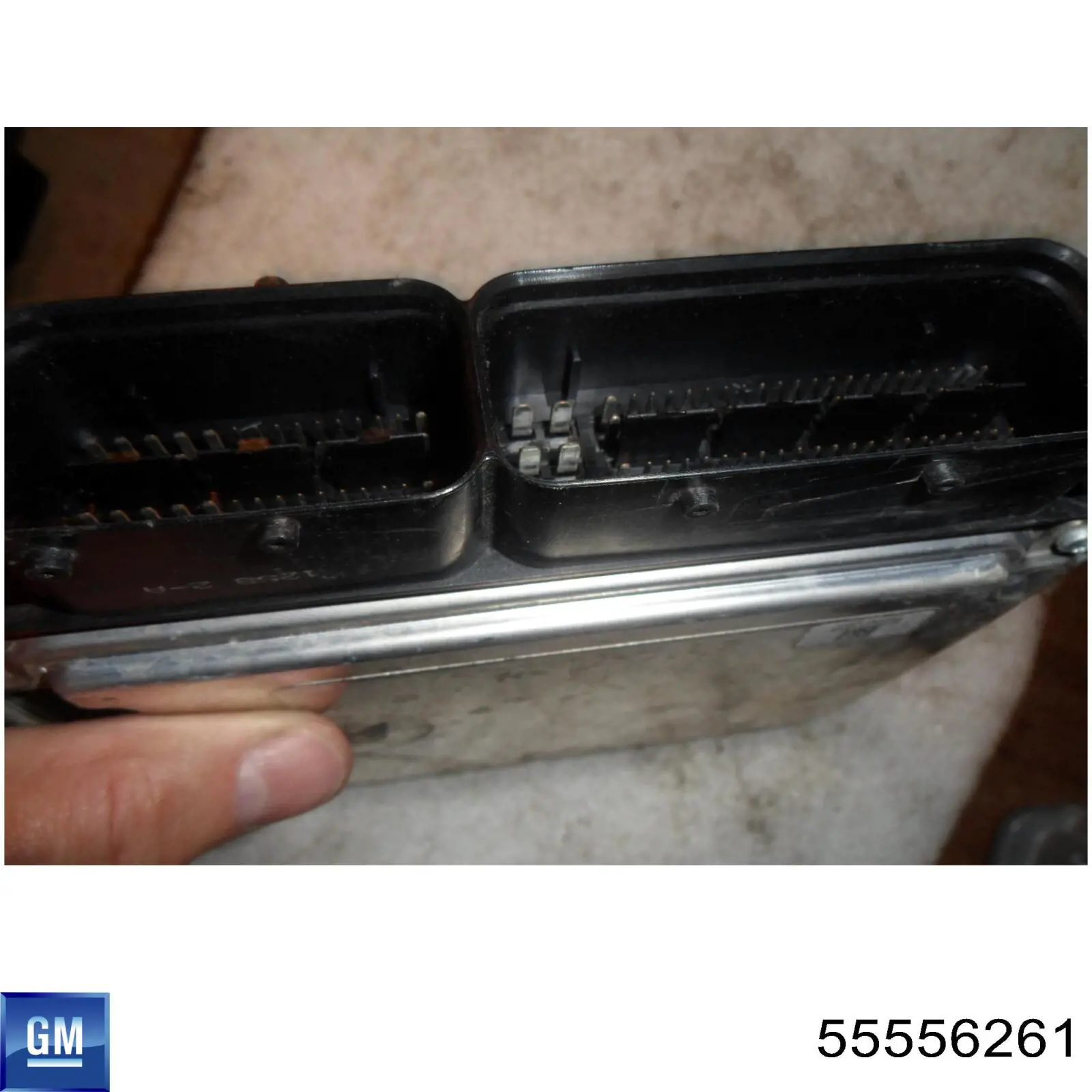 ЕБУ General Motors 55556261 ціна, від 90.55 USD