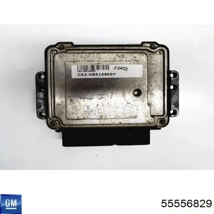 Блок двигуна General Motors 55556829