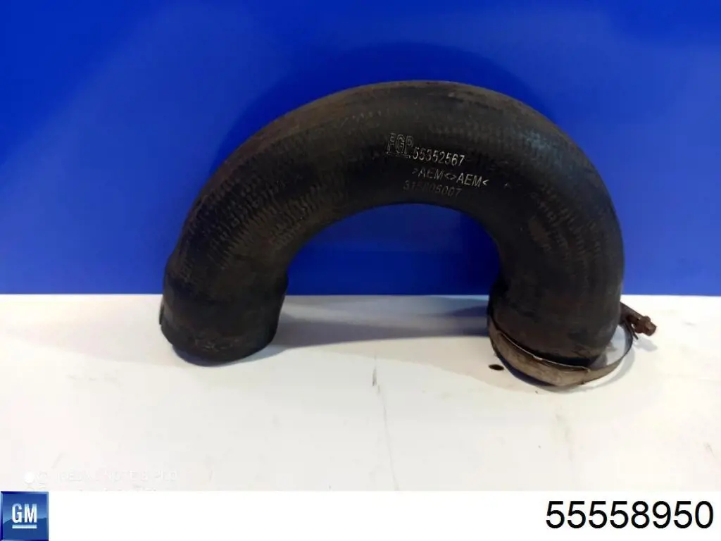  General Motors 55558950 ціна, від 22.57 USD