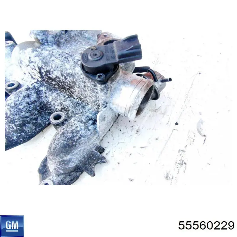 Купити 55560229 General Motors 