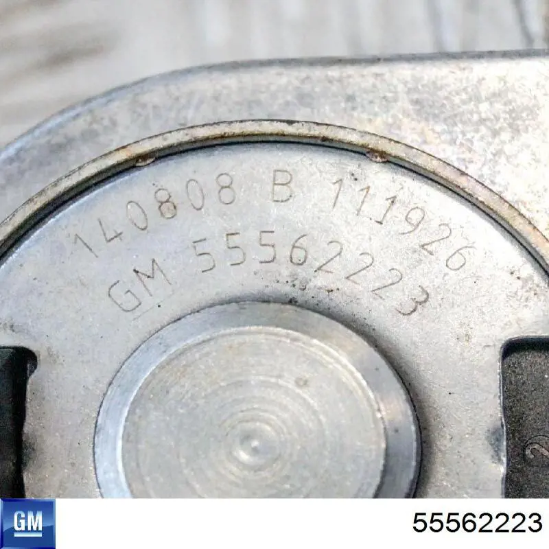 55562223 General Motors клапан електромагнітний положення (фаз розподільного валу)