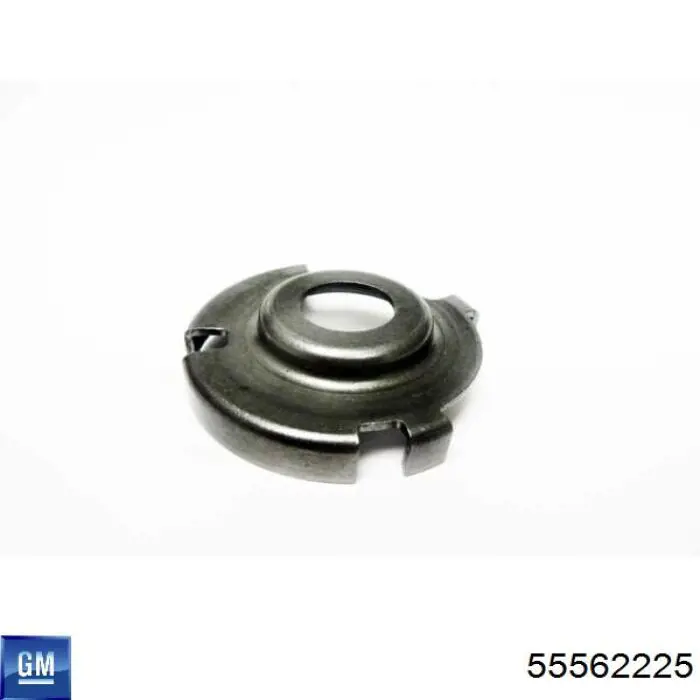  General Motors 55562225