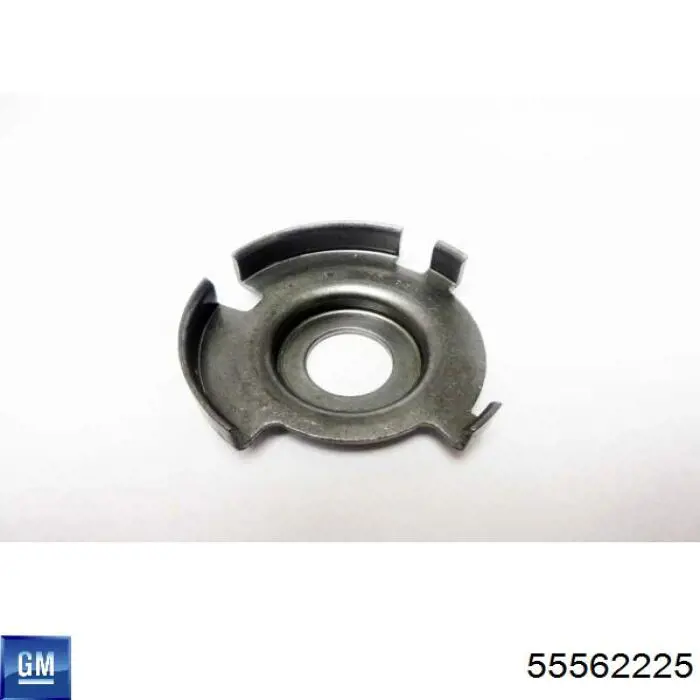 55562225 General Motors 