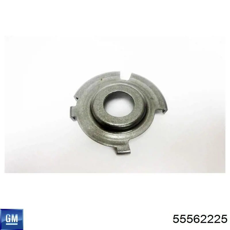 Купити 55562225 General Motors 