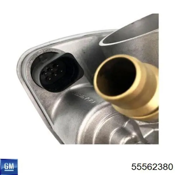 Купити 55562380 General Motors Дросільна заслінка