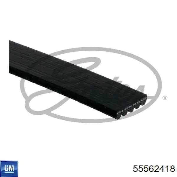Купити 55562418 General Motors Ремінь генератора
