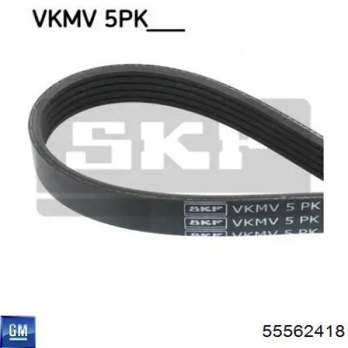 Ремінь генератора 55562418 General Motors
