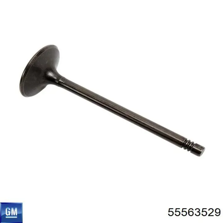 Клапан впускний General Motors 55563529 ціна, від 15.35 USD