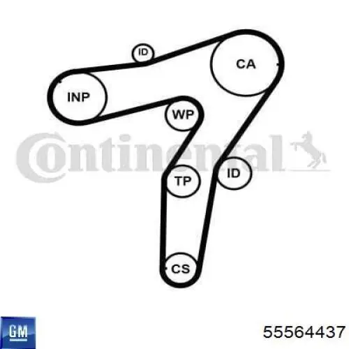 Зубчастий ремінь General Motors 55564437 ціна, від 30.17 USD