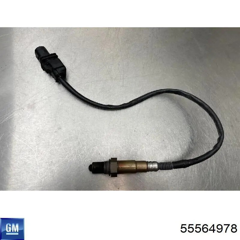 55564978 General Motors Лямбдазонд, датчик кисню до каталізатора