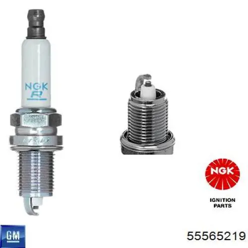 Свічки автомобільні General Motors 55565219 ціна, від 3.87 USD