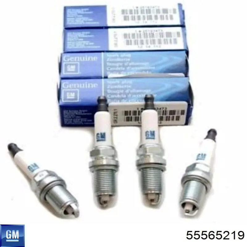 Свічки запалювання 55565219 General Motors