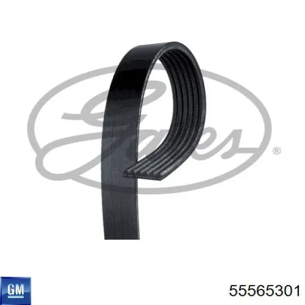 Купити 55565301 General Motors Ремінь генератора