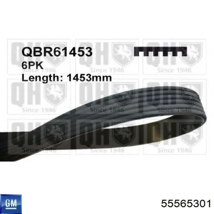 Ремінь генератора 55565301 General Motors