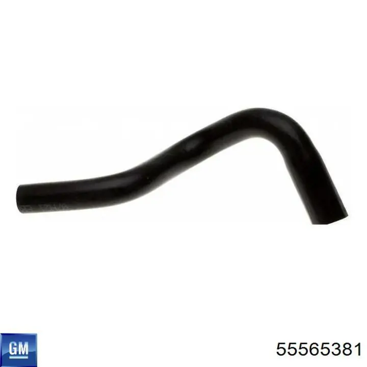  55565381 General Motors