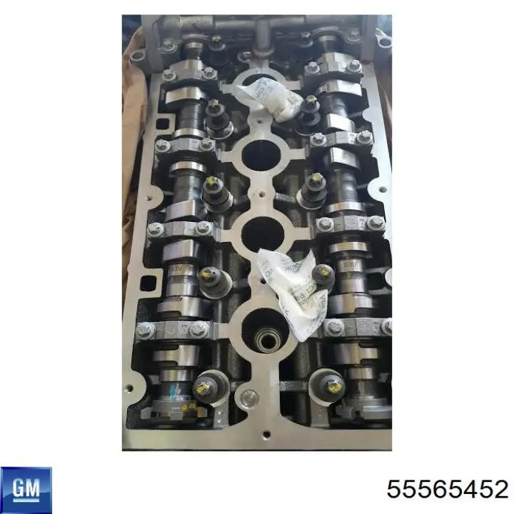 Купити 55565452 General Motors 