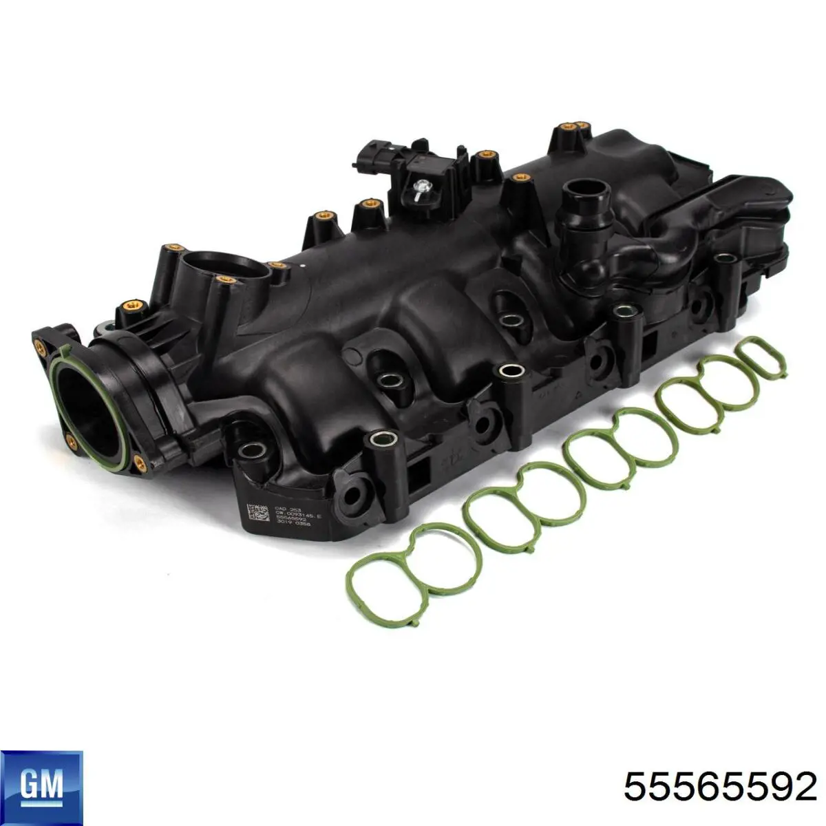  CAD253 Magneti Marelli