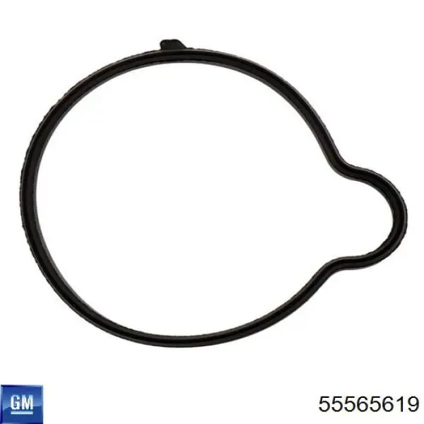 Прокладка термостата General Motors 55565619 ціна, від 3.88 USD