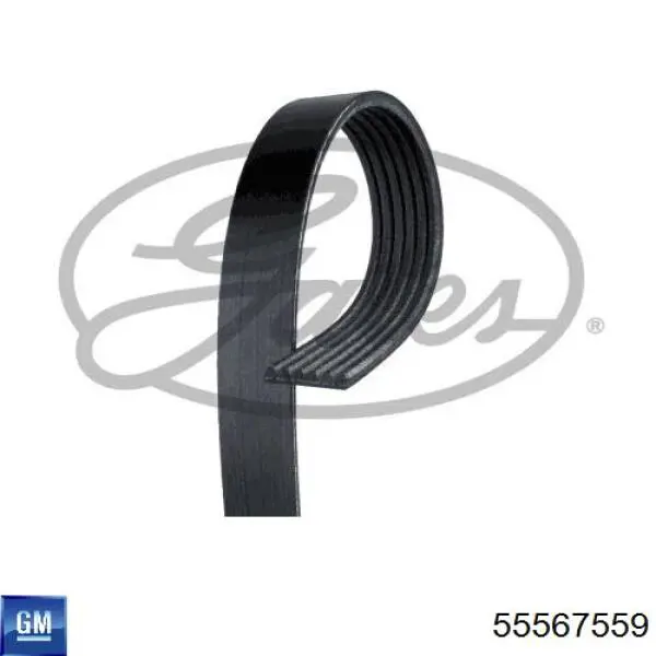 Клиновий ремінь General Motors 55567559 ціна, від 12.70 USD