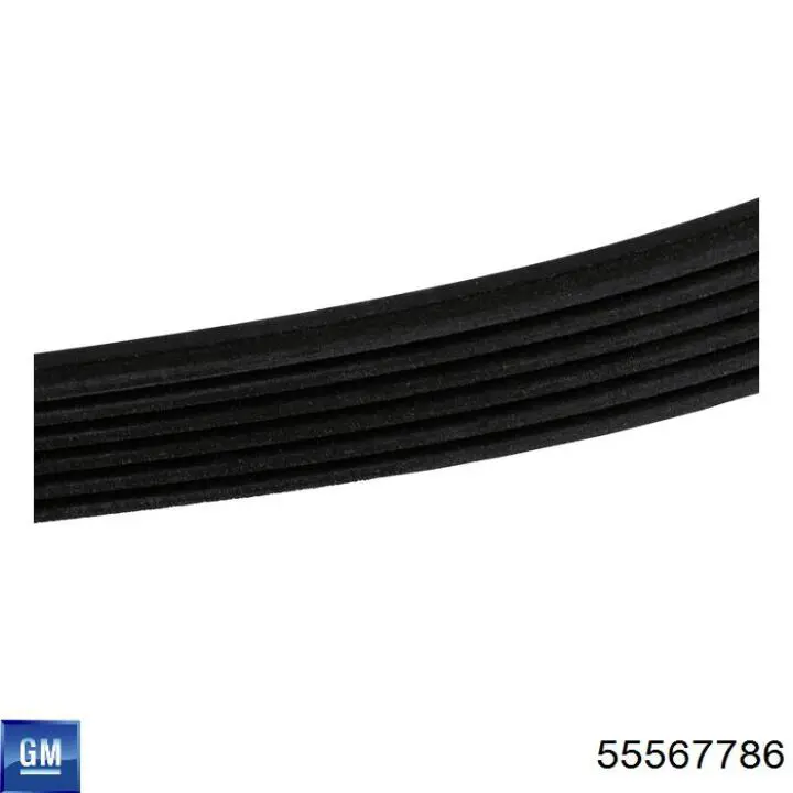 Купити 55567786 General Motors Ремінь генератора
