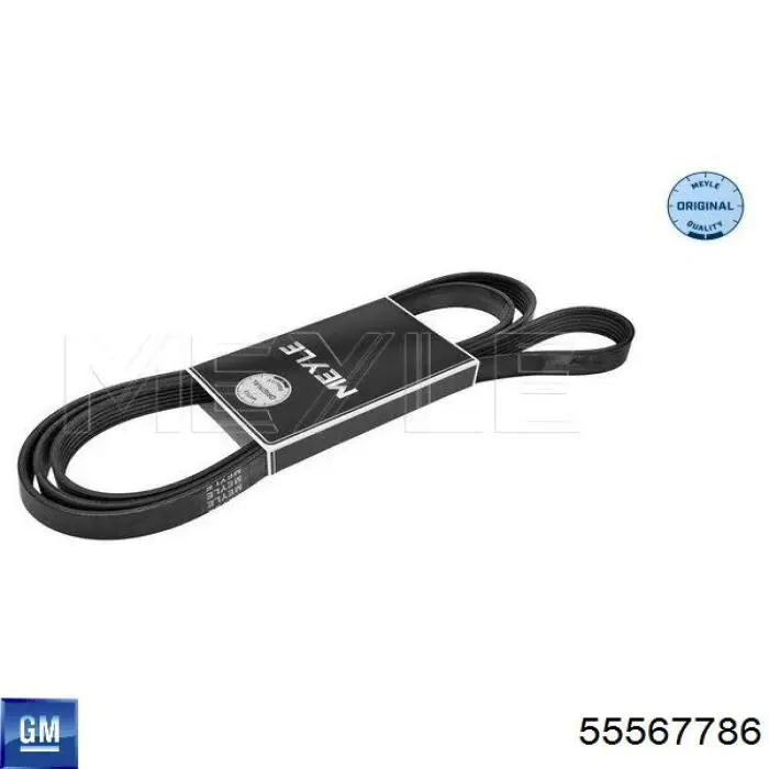 Клиновий ремінь General Motors 55567786 ціна, від 20.89 USD