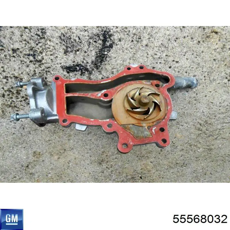 55568032 General Motors 