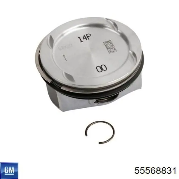 Купити 55568831 General Motors 