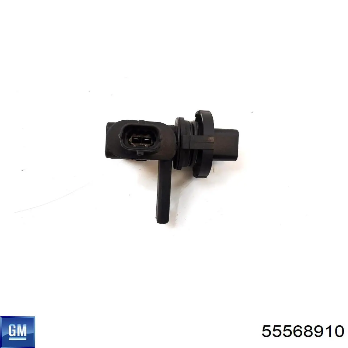 55568910 General Motors 