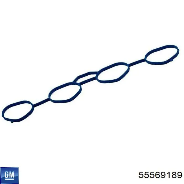 Купити 55569189 General Motors Болт гбц