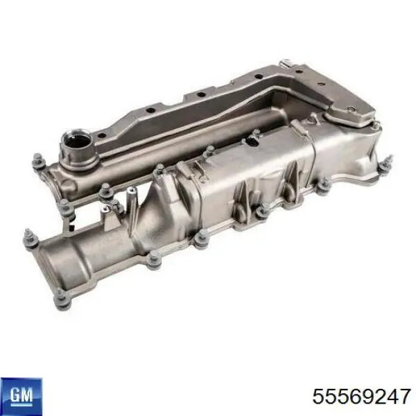 55569247 General Motors 