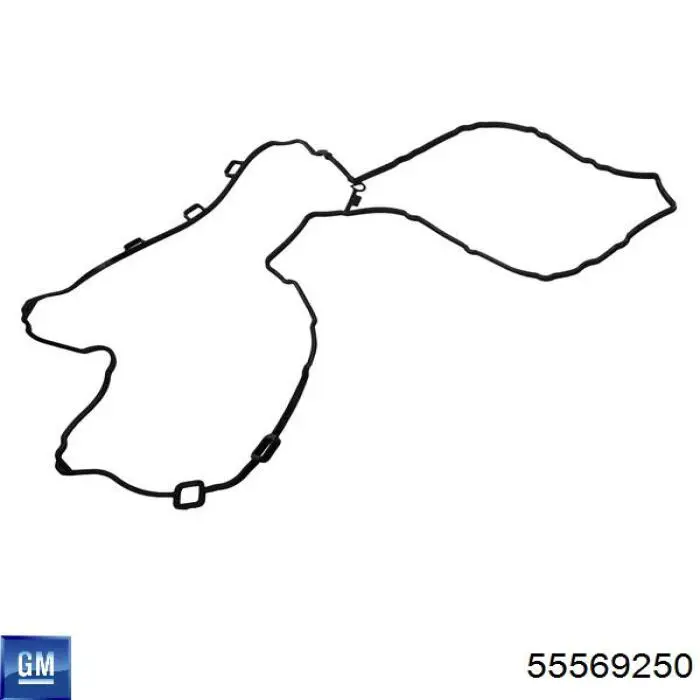 Ланцюг ГРМ 55569250 General Motors