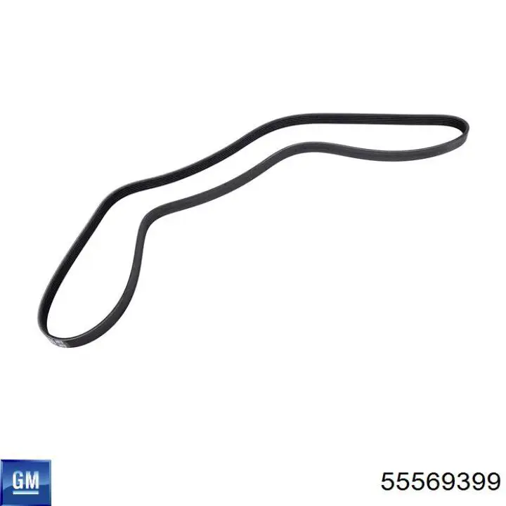 Натягувач приводного ременя 55569399 General Motors